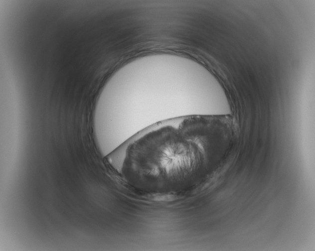 X0000116390462200912021009