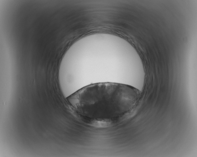 X0000116390466200912021009