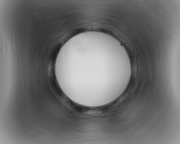 X0000116390468200912021009