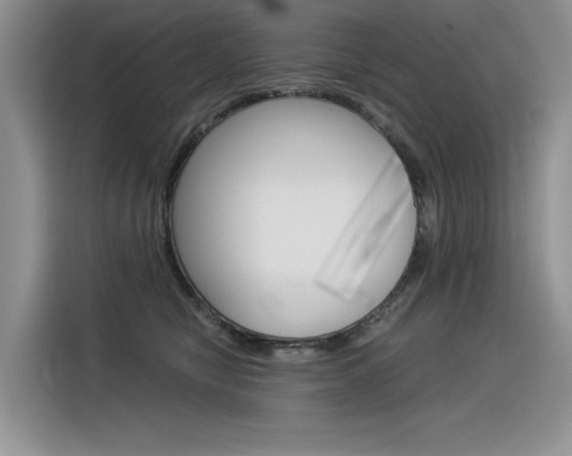 X0000116390470200912021009