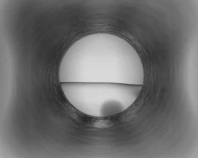 X0000116390471200912021009