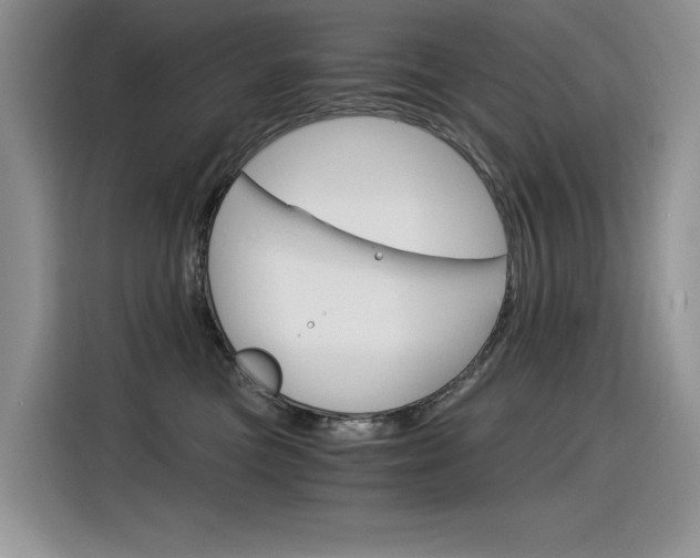 X0000116390473200912021009