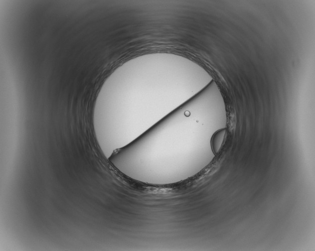 X0000116390476200912021009