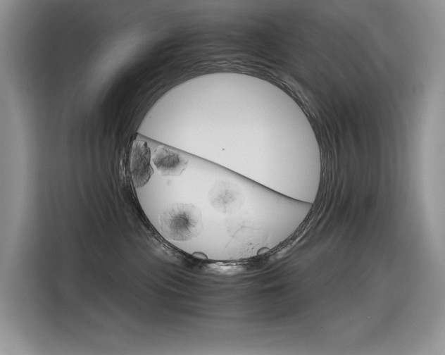 X0000116390477200912021009