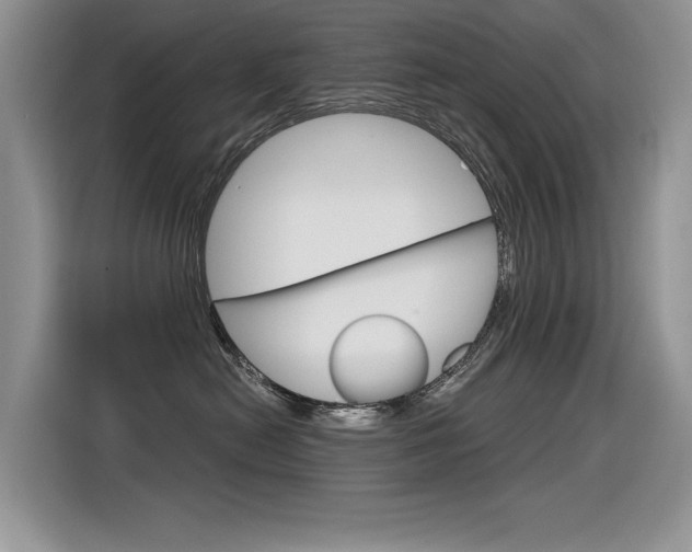 X0000116390478200912021009