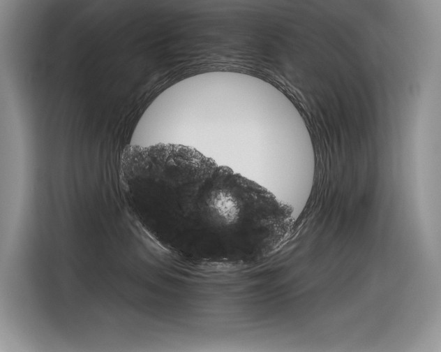 X0000116390479200912021010