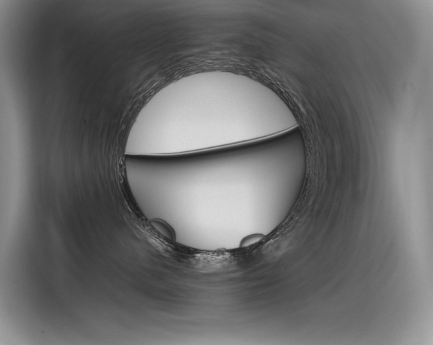 X0000116390480200912021010