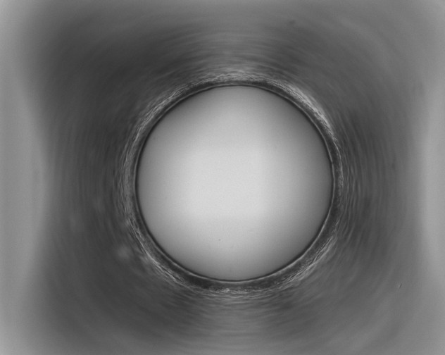 X0000116390481200912021009