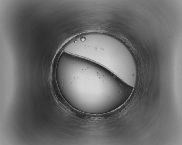 X0000116390484200912021009