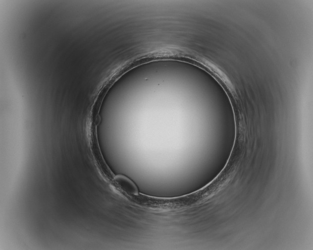 X0000116390485200912021009