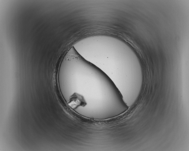 X0000116390489200912021009