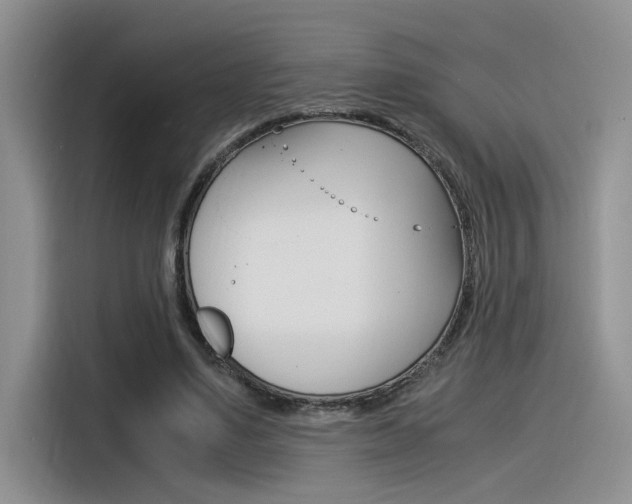 X0000116390491200912021009