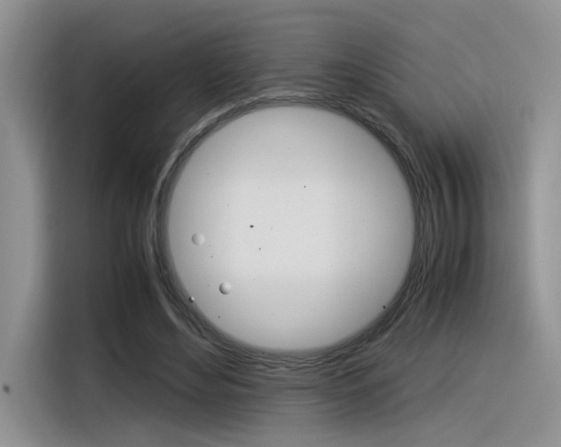 X0000116390492200912021009