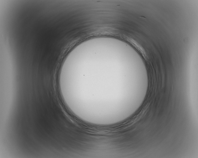 X0000116390493200912021009