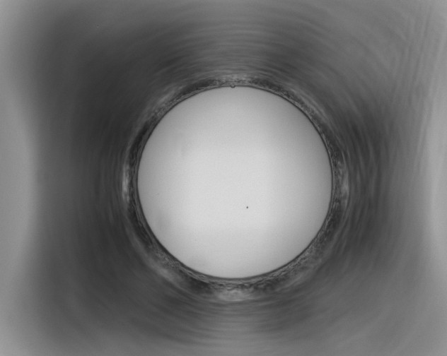 X0000116390494200912021009