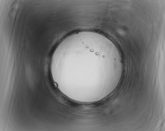 X0000116390495200912021009