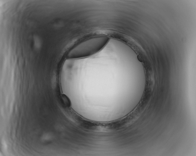 X0000116390496200912021009