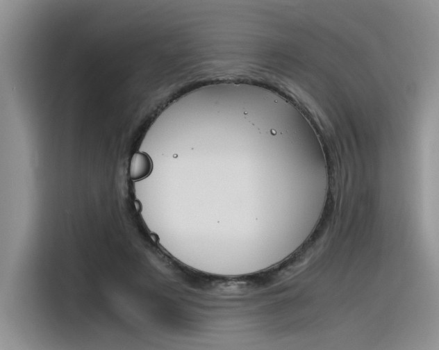 X0000116390497200912021009