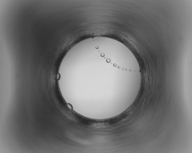 X0000116390499200912021009