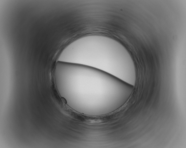 X0000116390500200912021009