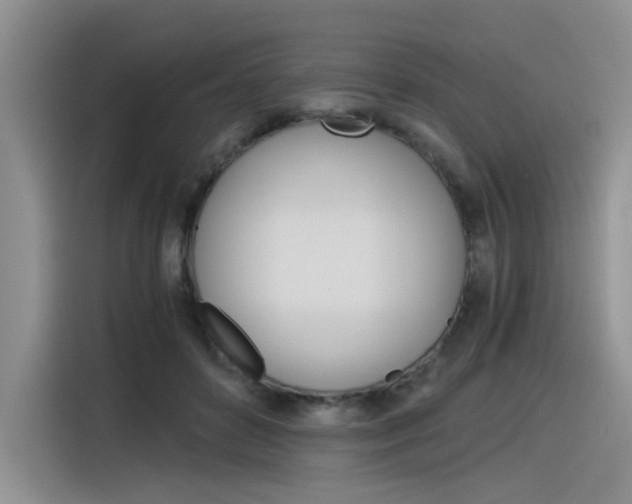 X0000116390504200912021009