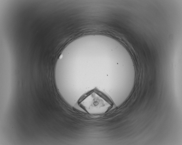 X0000116390505200912021009
