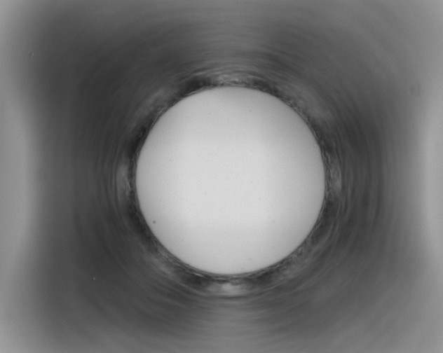 X0000116390506200912021009