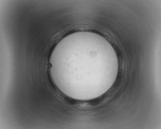 X0000116390507200912021009