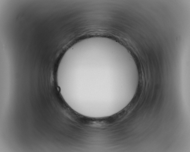 X0000116390508200912021009