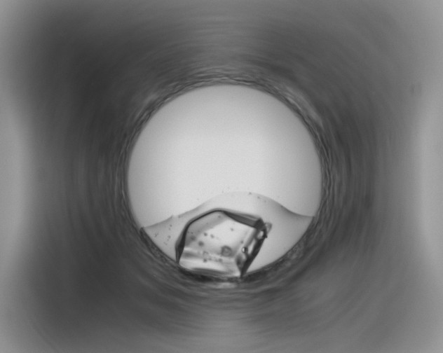X0000116390509200912021009