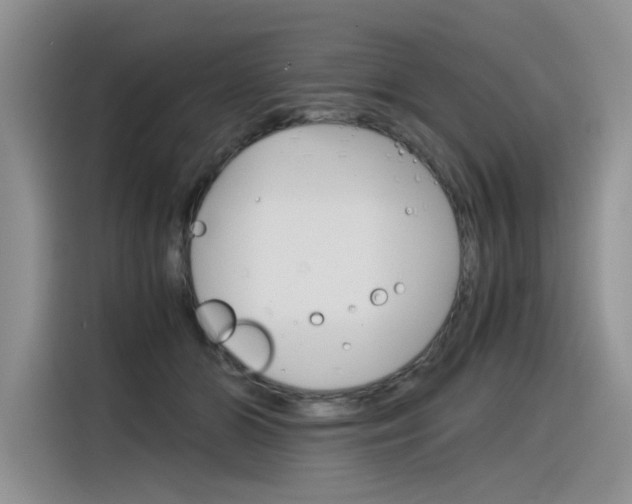 X0000116390510200912021009