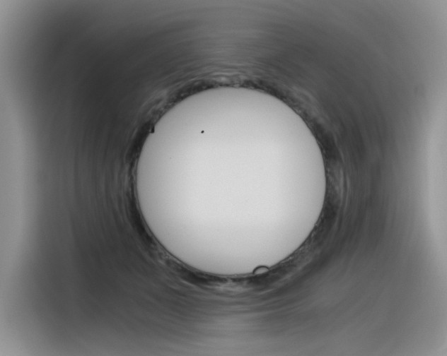 X0000116390511200912021008