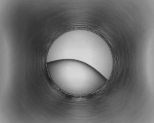 X0000116390512200912021008