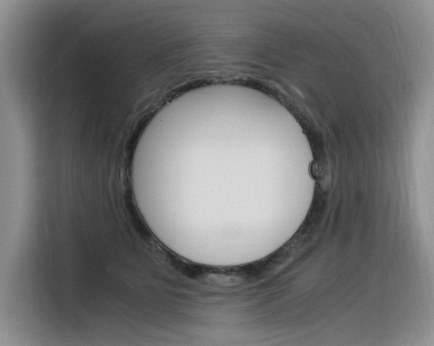 X0000116390515200912021008