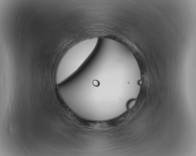 X0000116390517200912021008