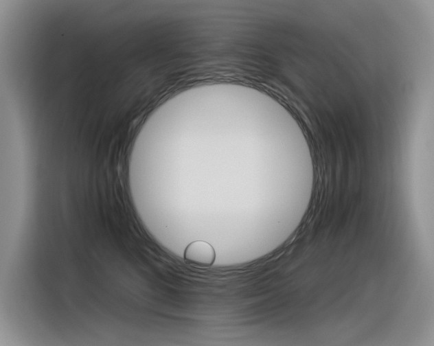 X0000116390520200912021008