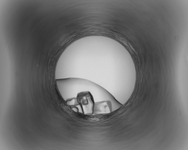 X0000116390521200912021008