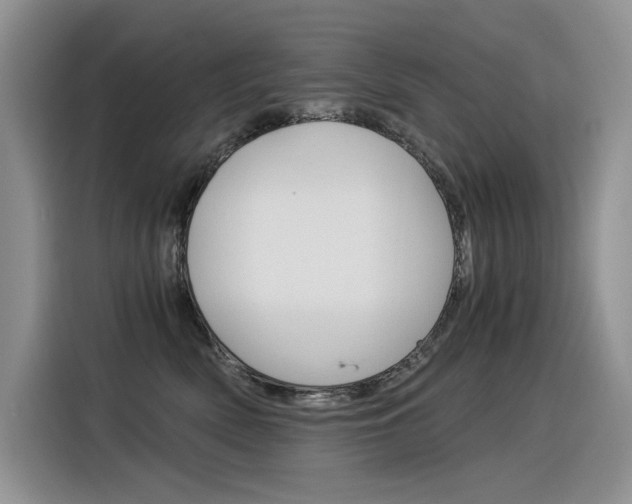 X0000116390522200912021008