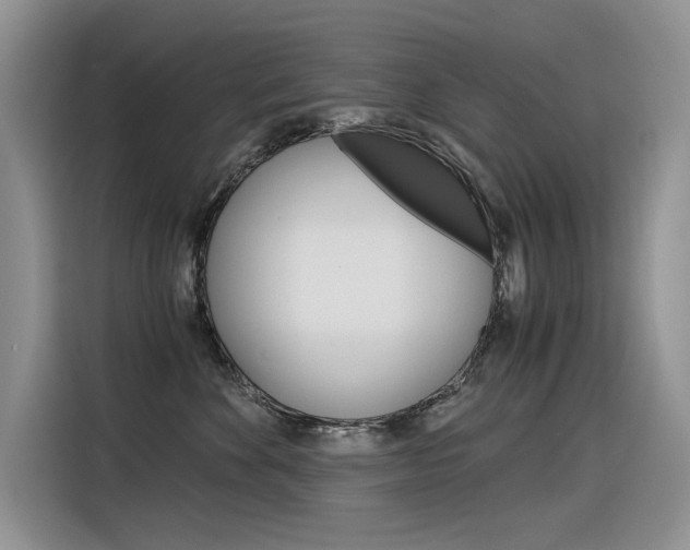 X0000116390524200912021008