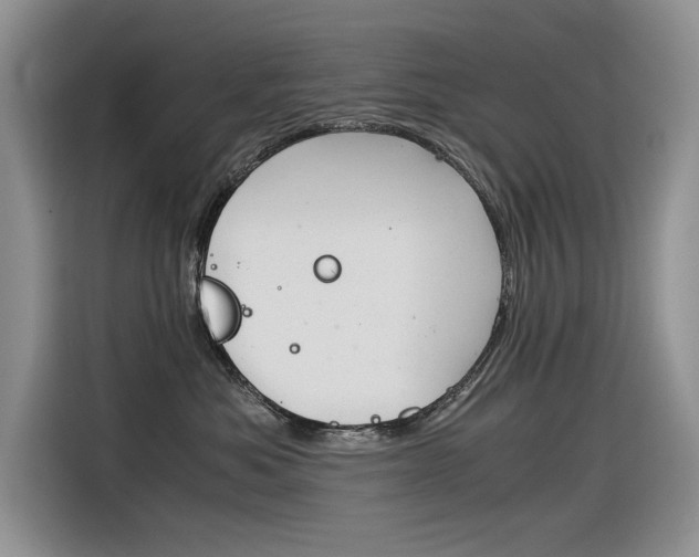 X0000116390525200912021008