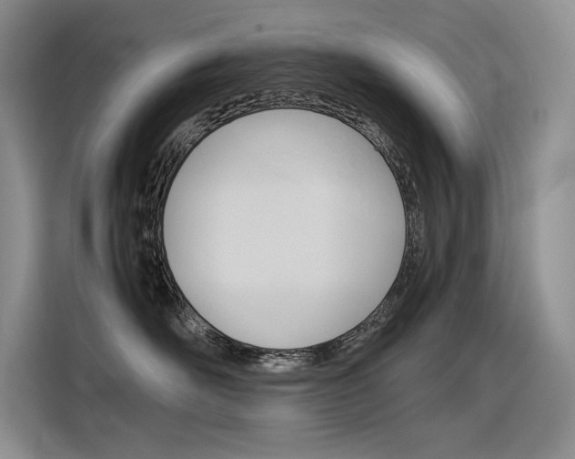 X0000116390526200912021008