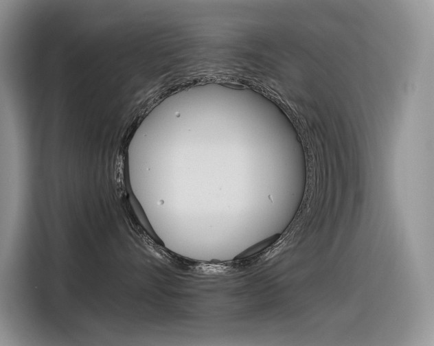 X0000116390528200912021008