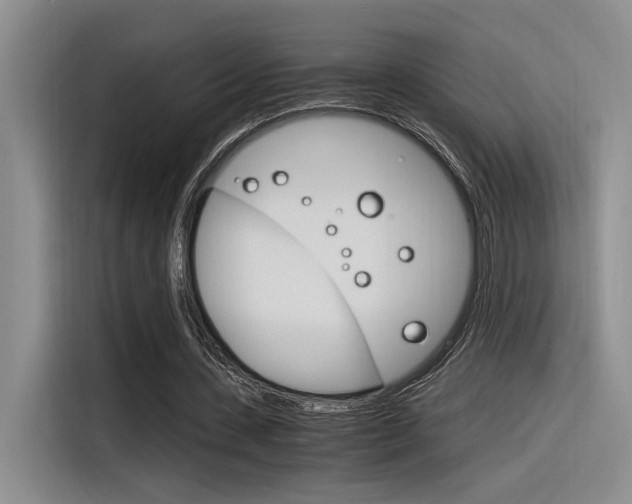 X0000116390531200912021008