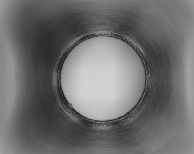X0000116390533200912021008