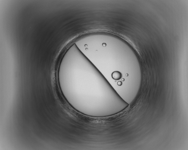 X0000116390535200912021008
