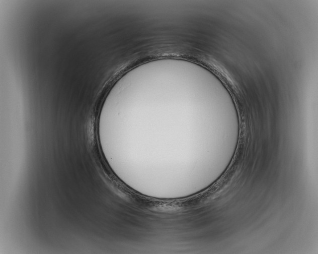 X0000116390537200912021008
