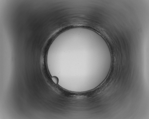 X0000116390539200912021008