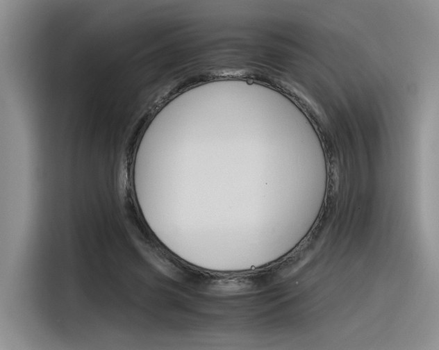 X0000116390541200912021008