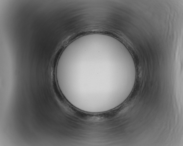 X0000116390542200912021008