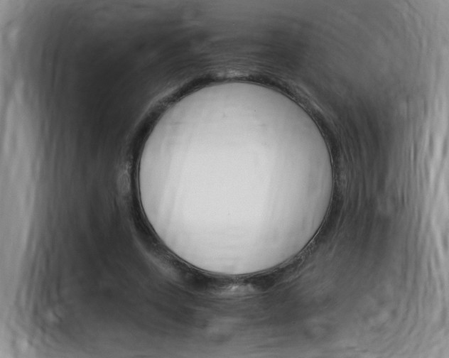 X0000116390543200912021008